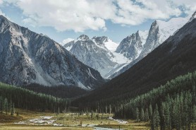未命名