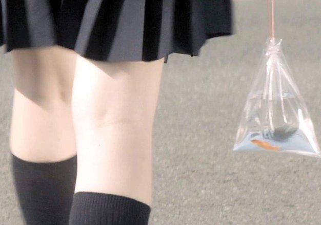 海角社区论坛-海角社区交流平台